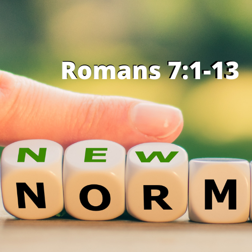 New Normal