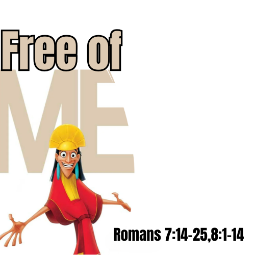 Free Of Me
